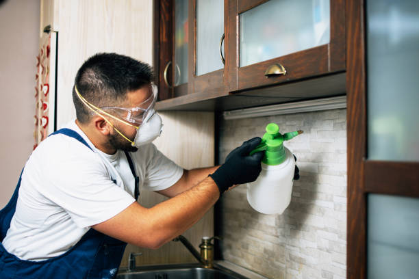 Best Affordable Pest Control Services  in Saltillo, MS
