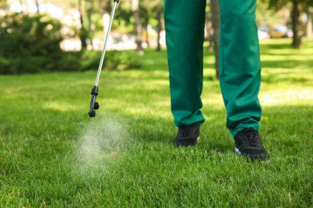 Best Insect Control  in Saltillo, MS