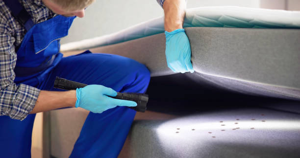 Best Termite Control Services  in Saltillo, MS